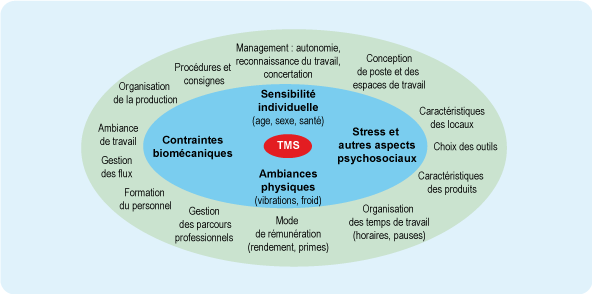 Les différents facteurs responsables de troubles musculo-squelettiques