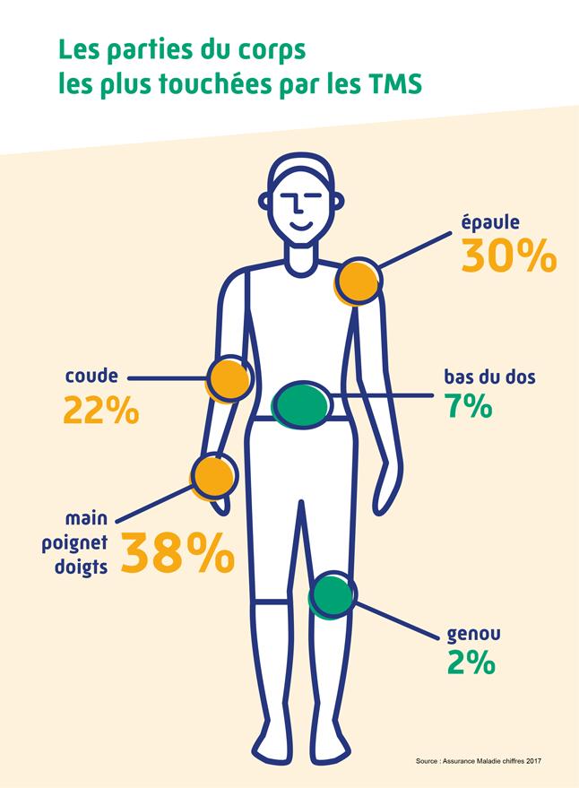 les parties du corps les plus touchées par les TMS