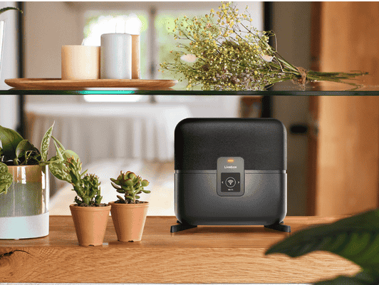 Livebox S compacte posée sur une étagère, entourée de plantes, design moderne pour connexion fibre rapide
